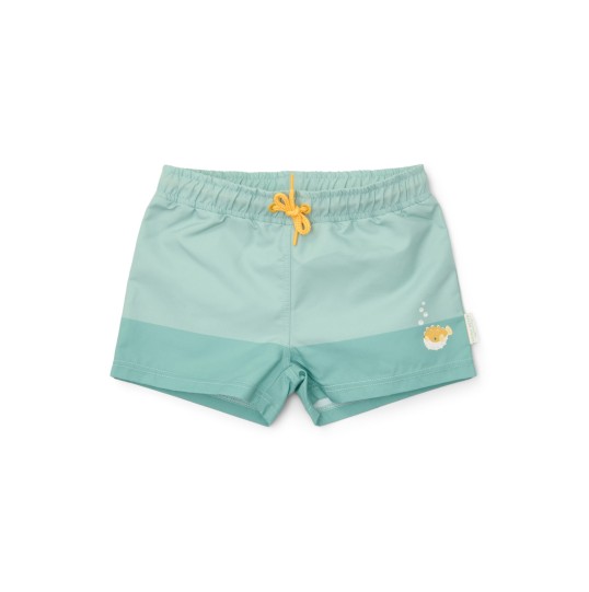 ΜΑΓΙΟ ΒΕΡΜΟΥΔΑ SEASHELLS SURF BLUE